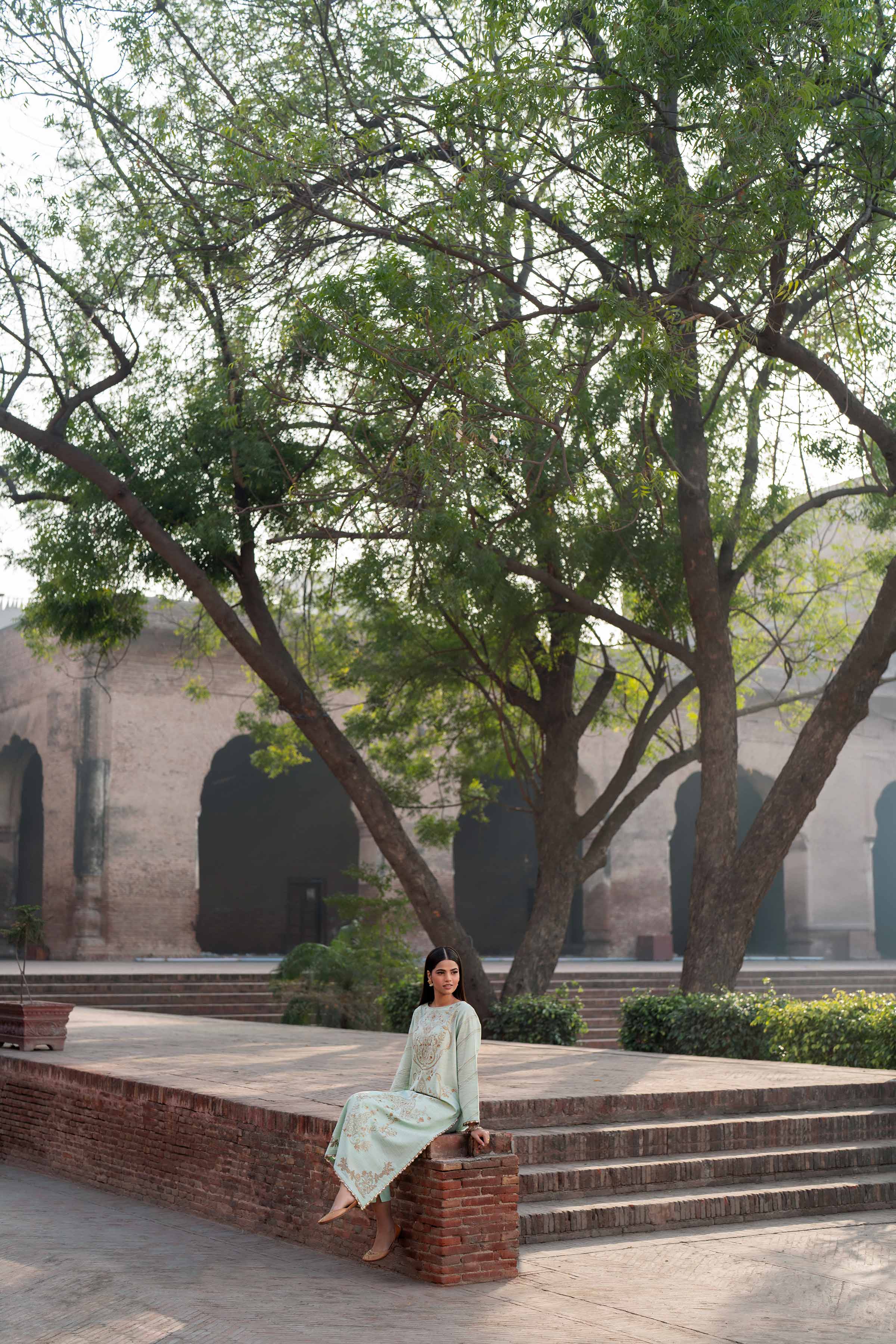 2 Piece - Embroidered Suit - PFE25-23 - Image 8